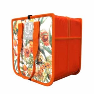 Foldable Cooler - Lorikeet